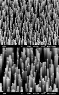 Nanotubes and Nanowires